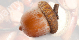 Nut Simulator